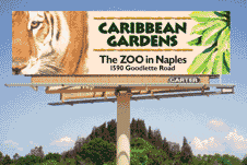 Billboards