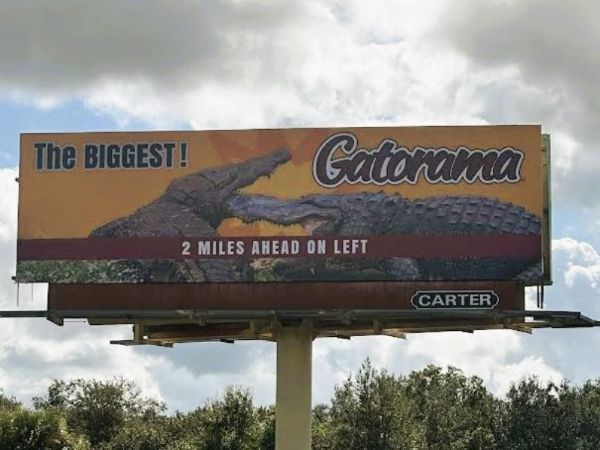 Gatorama_5297.jpg